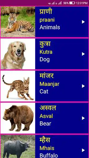 Play Learn Marathi From English as an online game Learn Marathi From English with UptoPlay