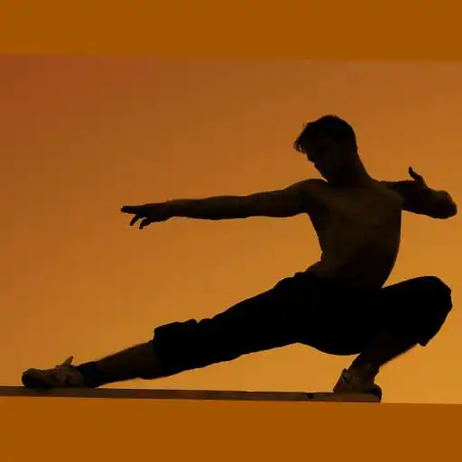 Free play online Learn Martial Art APK