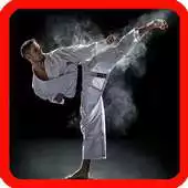 Free play online Learn Mixed Martial Arts APK