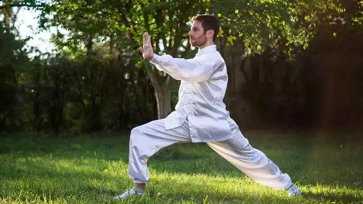 Play Learn Mixed Martial Arts