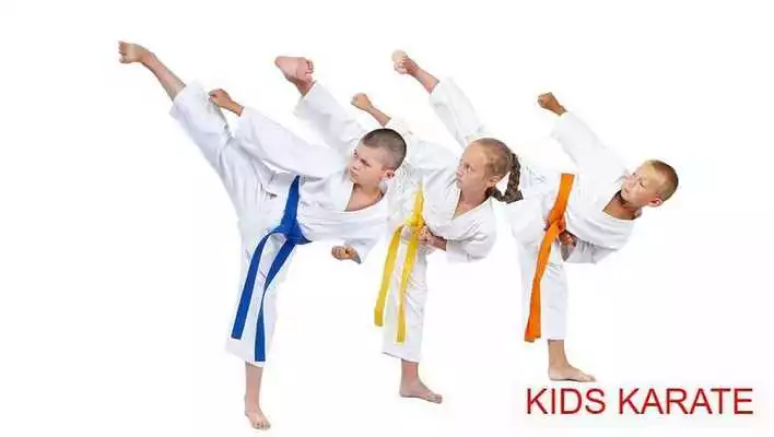 Play Learn Mixed Martial Arts