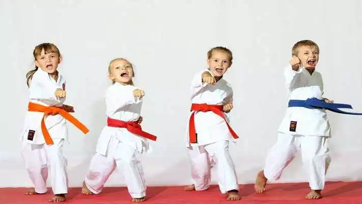 Play Learn Mixed Martial Arts