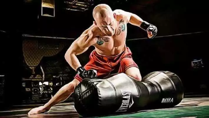 Play Learn Mixed Martial Arts