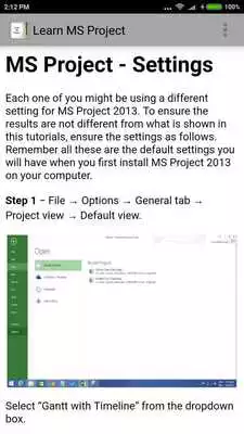 Play Learn MS Project