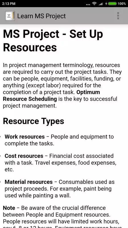 Play Learn MS Project