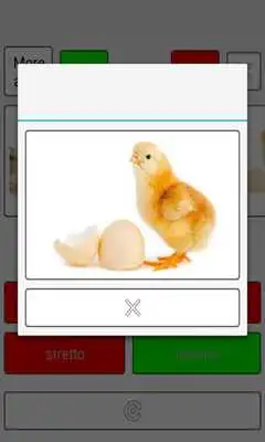 Play Learn Norwegian words