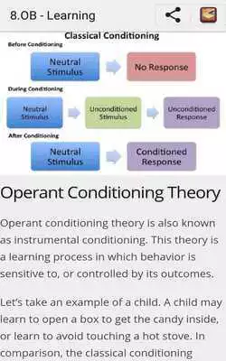 Play Learn Organizational Behavior