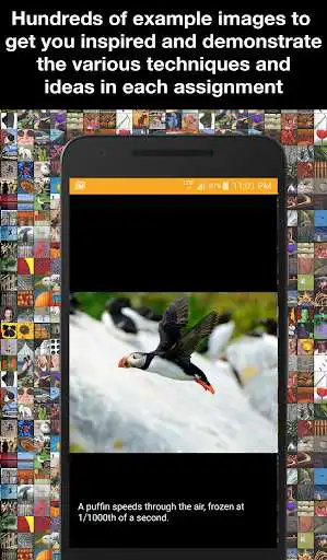 Play Learn Photo365 Free as an online game Learn Photo365 Free with UptoPlay