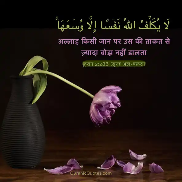 Play Learn Quran in Hindi and Urdu - Lectures and More!  and enjoy Learn Quran in Hindi and Urdu - Lectures and More! with UptoPlay