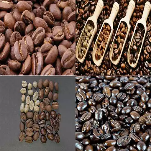 Play Learn Roasting Coffee APK Play Learn Roasting Coffee APK