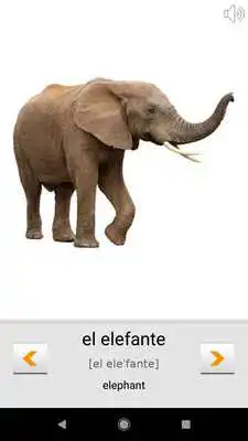 Play Learn Spanish words with Smart-Teacher