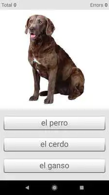 Play Learn Spanish words with Smart-Teacher