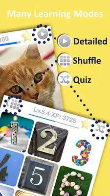 Play Learn  Speak Esperanto Words