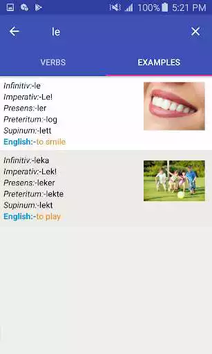 Play Learn Swedish  Verbs