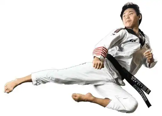 Play Learn Taekwondo
