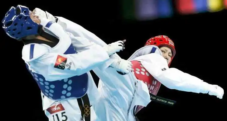 Play Learn Taekwondo