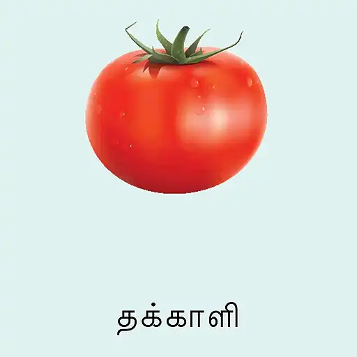 Play Learn Tamil Flash Cards APK