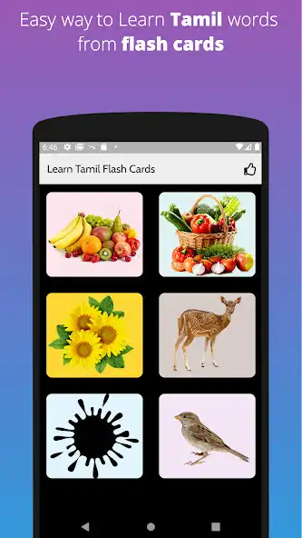 Play Learn Tamil Flash Cards  and enjoy Learn Tamil Flash Cards with UptoPlay