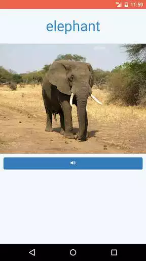 Play Learn the Animals Flash Cards Pro as an online game Learn the Animals Flash Cards Pro with UptoPlay