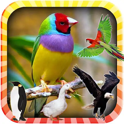 Play Learn the Birds APK
