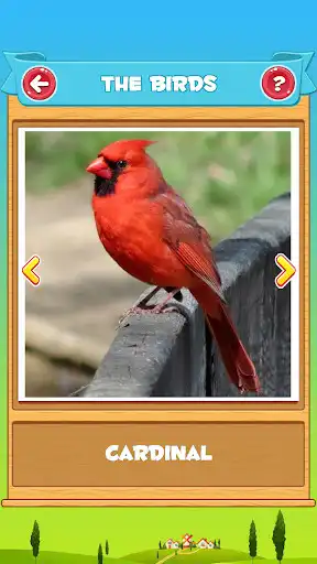 Play Learn the Birds  and enjoy Learn the Birds with UptoPlay