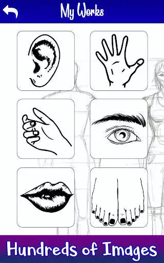 Play Learn to Draw Human Body - Draw  Color Anatomy