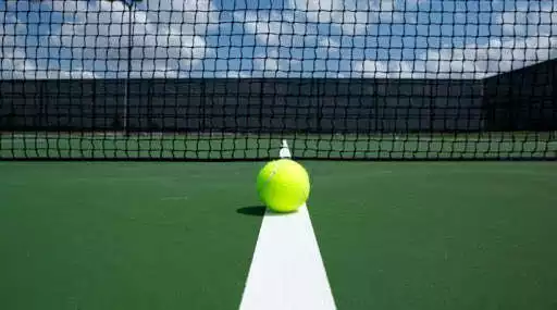 Play Learn to play tennis for free.  and enjoy Learn to play tennis for free. with UptoPlay