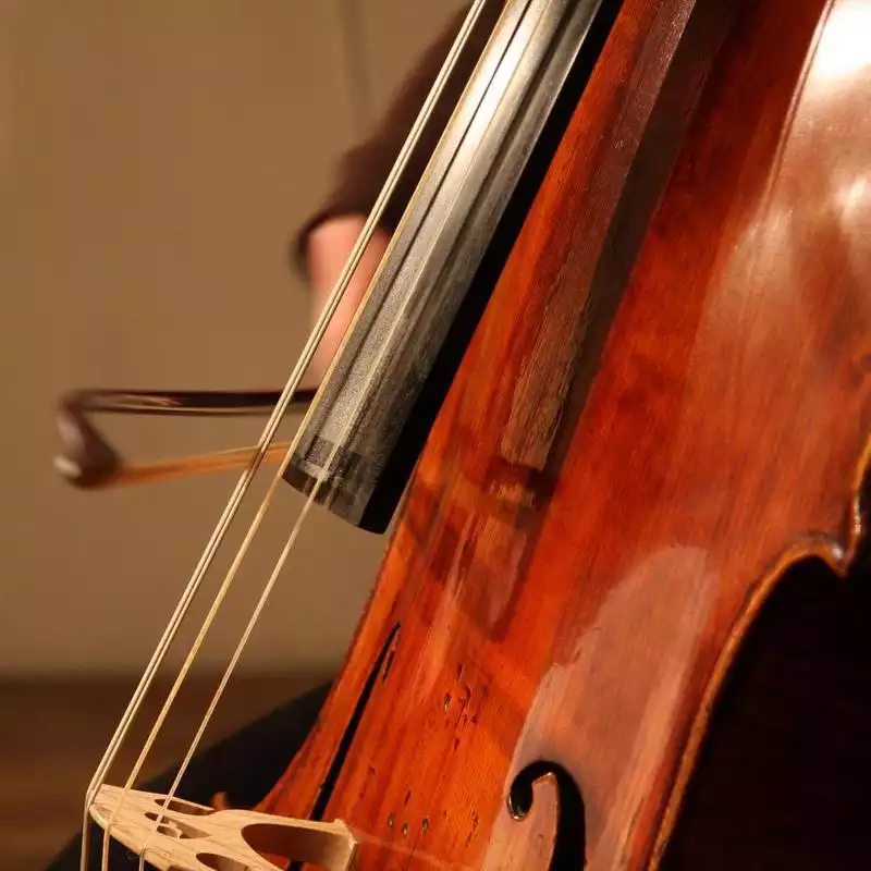 Play Learn to play the cello
