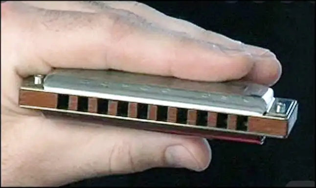 Play LEARN TO PLAY THE HARMONIC  and enjoy LEARN TO PLAY THE HARMONIC with UptoPlay