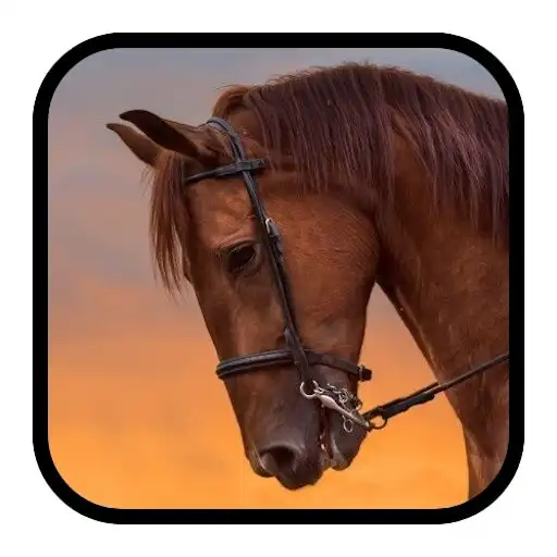Play Learn to ride horses APK Play Learn to ride horses APK