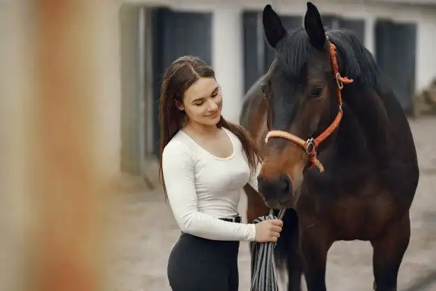 Play Learn to ride horses  and enjoy Learn to ride horses with UptoPlay
