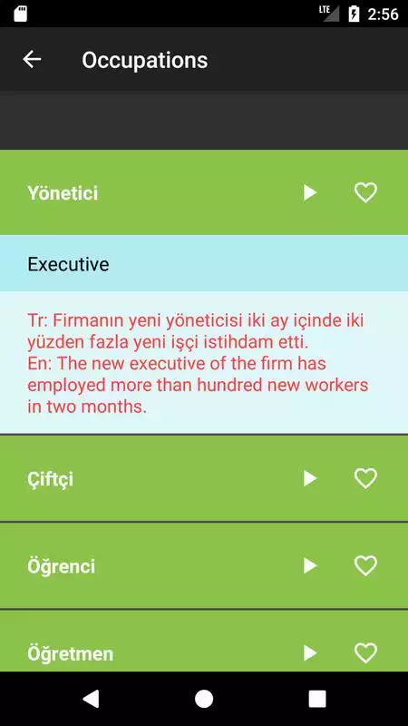Play Learn Turkish: Free Offline Audio Dictionary