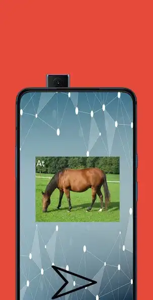 Play Learn Turkish Nouns  and enjoy Learn Turkish Nouns with UptoPlay