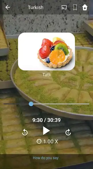 Play Learn Turkish. Speak Turkish. Study Turkish. as an online game Learn Turkish. Speak Turkish. Study Turkish. with UptoPlay
