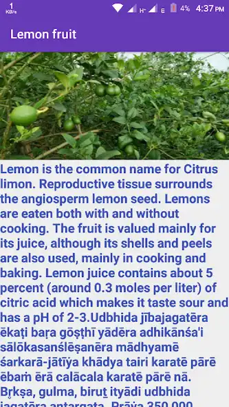 Play Learn Vegetable and enjoy Learn Vegetable with UptoPlay Play Learn Vegetable and enjoy Learn Vegetable with UptoPlay