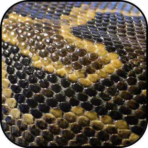 Free play online Leather wallpapers APK