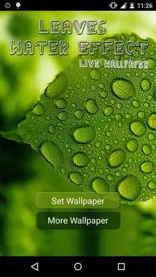Play Leaves in Water Effect