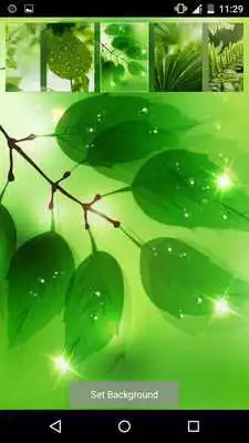 Play Leaves in Water Effect