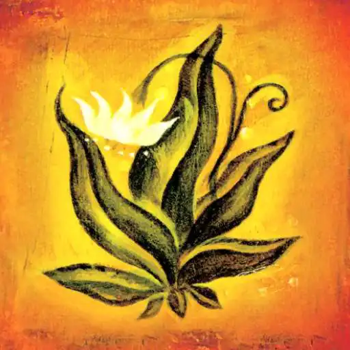 Play Le Carte di Don Miguel Ruiz APK Play Le Carte di Don Miguel Ruiz APK