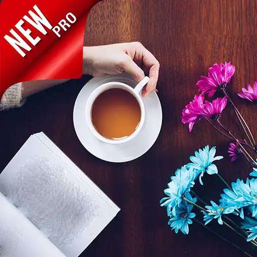 Run free android online Lecturas de Reflexion - Reflexiones de la Vida APK