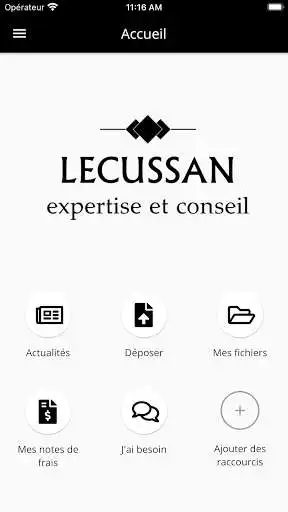 Play Lecussan expertise et conseil  and enjoy Lecussan expertise et conseil with UptoPlay
