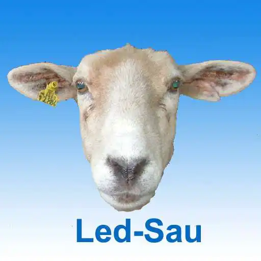 Play Ledsau APK Play Ledsau APK