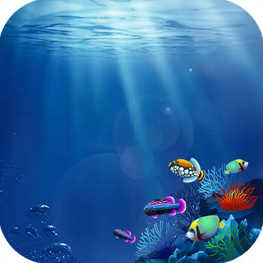 Play LED SMART APK Play LED SMART APK