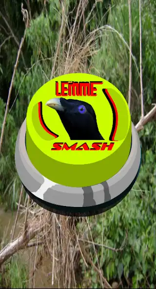 Play Lemme smash bird sound button  and enjoy Lemme smash bird sound button with UptoPlay
