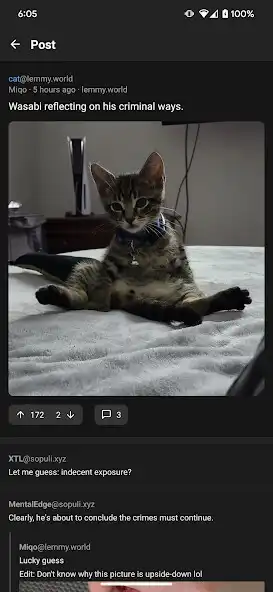 Play Lemmotif for Lemmy  and enjoy Lemmotif for Lemmy with UptoPlay