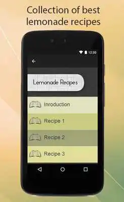 Play Lemonade Recipes Guide