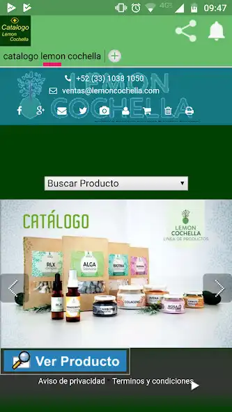 Play Lemon-Coachella and enjoy Lemon-Coachella with UptoPlay Play Lemon-Coachella and enjoy Lemon-Coachella with UptoPlay