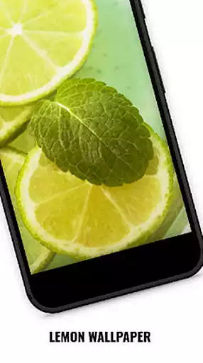 Play Lemon Wallpaper - HD 4K as an online game Lemon Wallpaper - HD 4K with UptoPlay