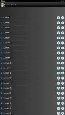 Play Lemur Sounds Ringtones