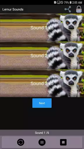 Play Lemur Sounds